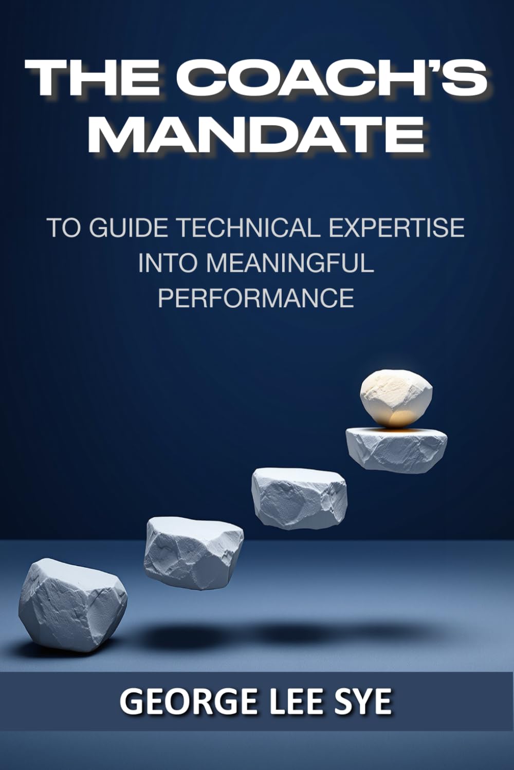 The Coach's Mandate: To Guide Technical Expertise Into Meaningful Performance (Business Improvement Leadership)