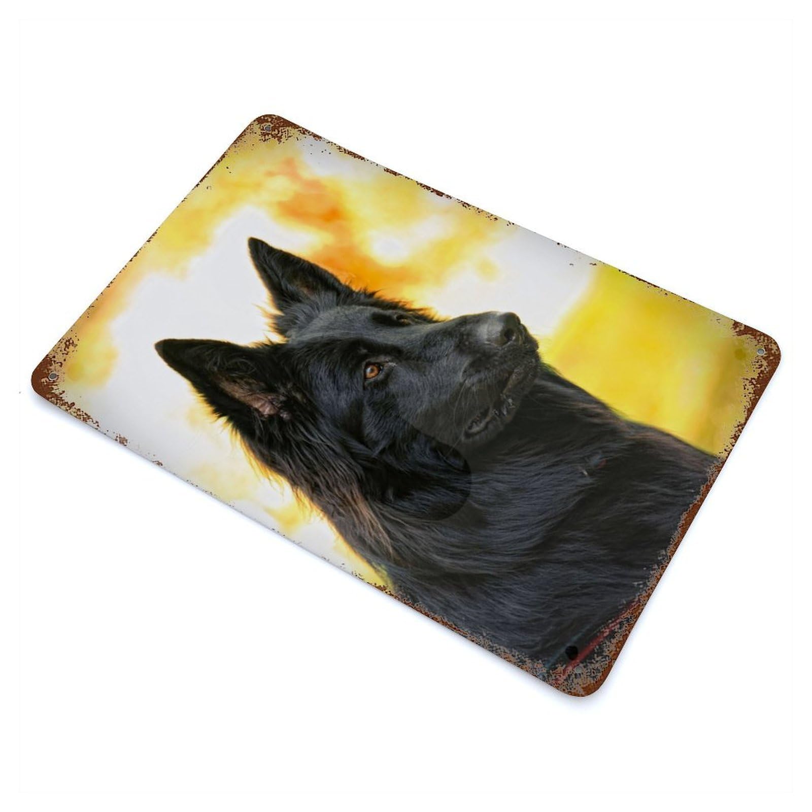 Belgian Shepherd Dog Rust Effect Tin Sign 11.8"x7.9", Novelty Wall Decor for Garage, Pub Or Kitchen