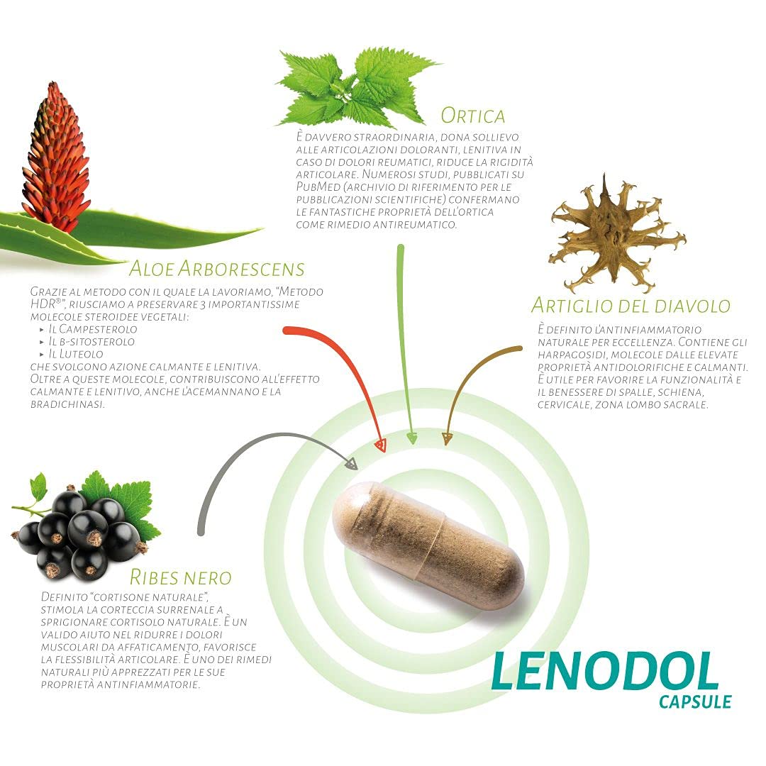 ALOEBETA Lenodol Artiglio del Diavolo Forte Capsule Vegetali - Allevia Dolori Muscolo Scheletrici di Ossa e Articolazioni - Integratore Alimentare BIO con Aloe Arborescens - Confezione da 60 Capsule