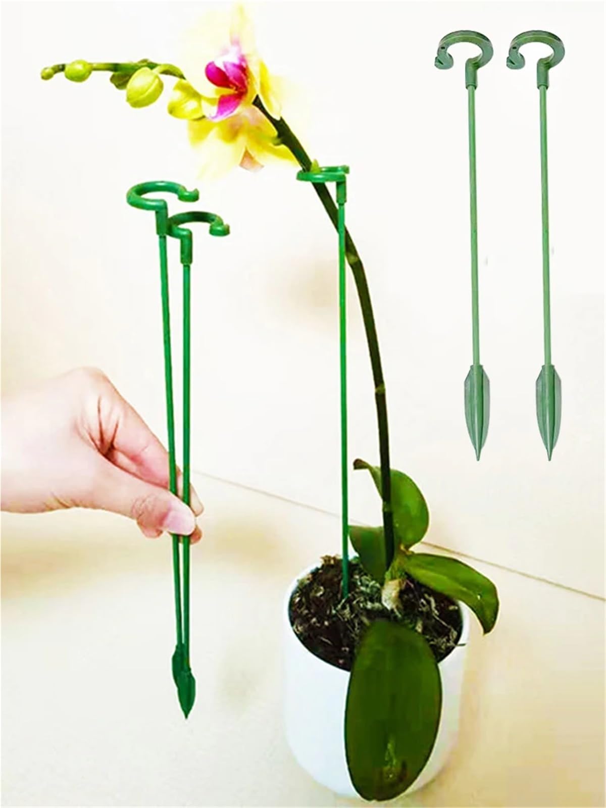 30pcs Plastic Plant Supports für Pfingstrosen, Monstera