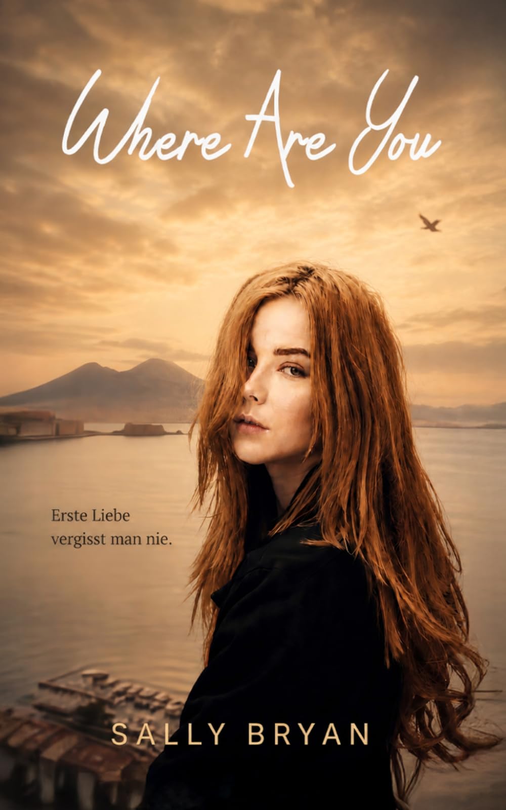 Where Are You: Eine lesbische Second-Chance-Romance