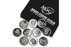 Ten (10) One Gram .999 Fine Silver Rounds with Random Design in...