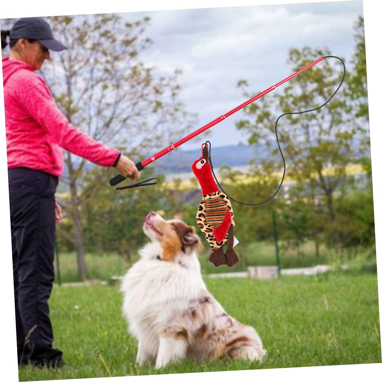 1set Stick Teaser Per Cani e Gatti Gioco Interattivo Per Addestramento Domestico Stimola La Curiosità e Gioco Per Famiglie Con Animali Domestici
