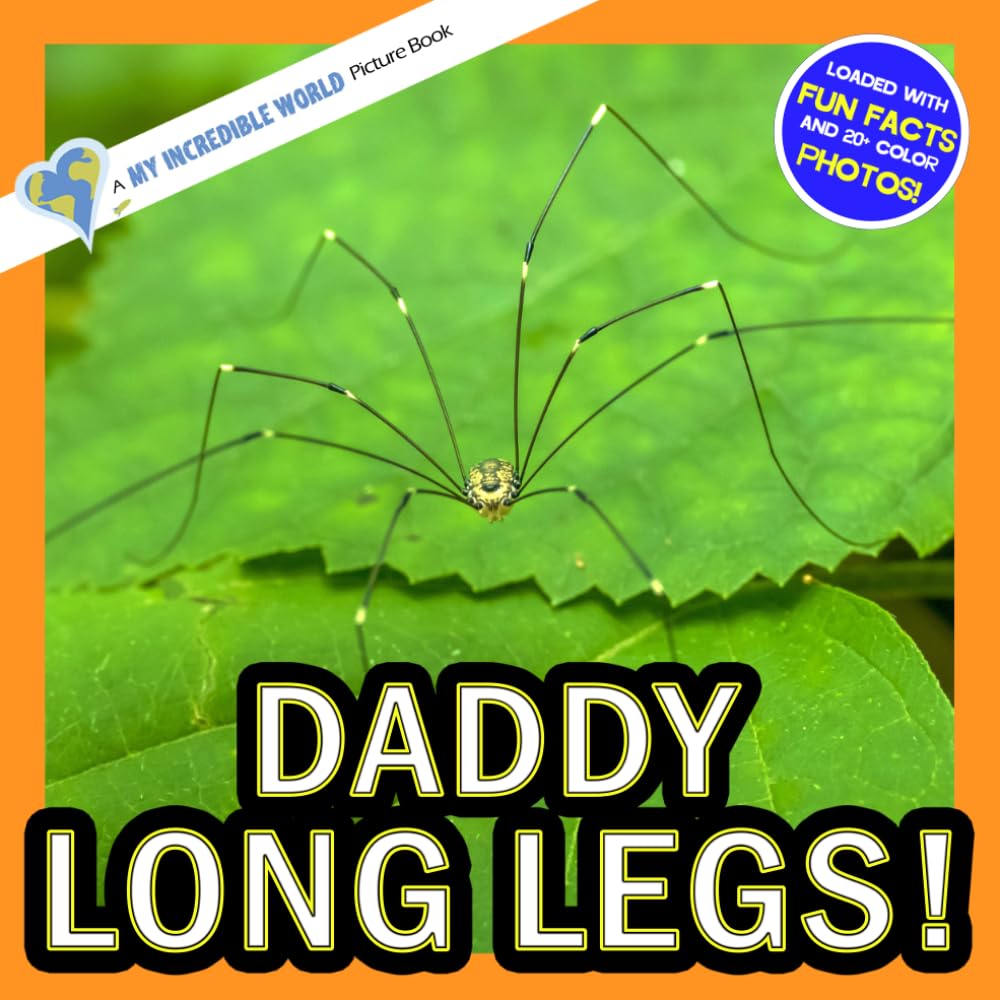 Daddy Long Legs!: A My Incredible World Picture Book for Children (My Incredible World: Nature and Animal Picture Books for Children)