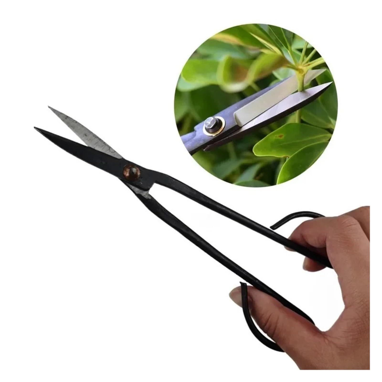 Tijeras for bonsái de mango largo 20 cm - podar jardín for recortar plantas y ramas