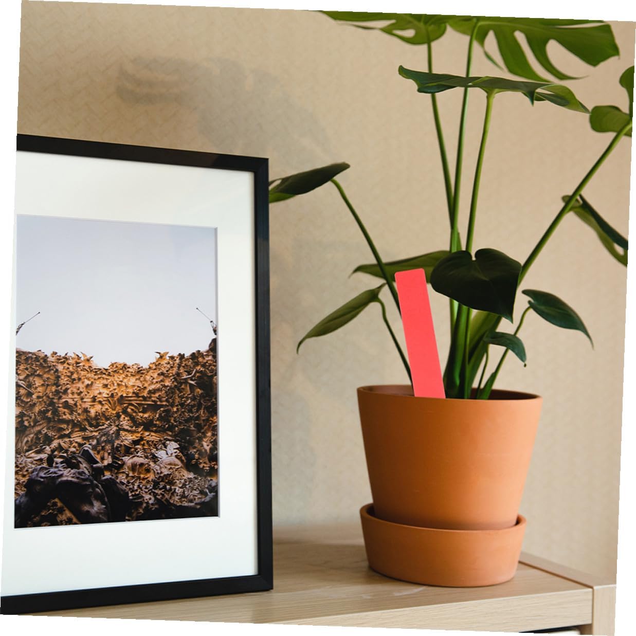 VICASKY 600pcs Waterproof Plastic Plant Labels Stakes Small Garden Plant Markers for Outdoor Succulent Pots for Nursery and Flower Bed