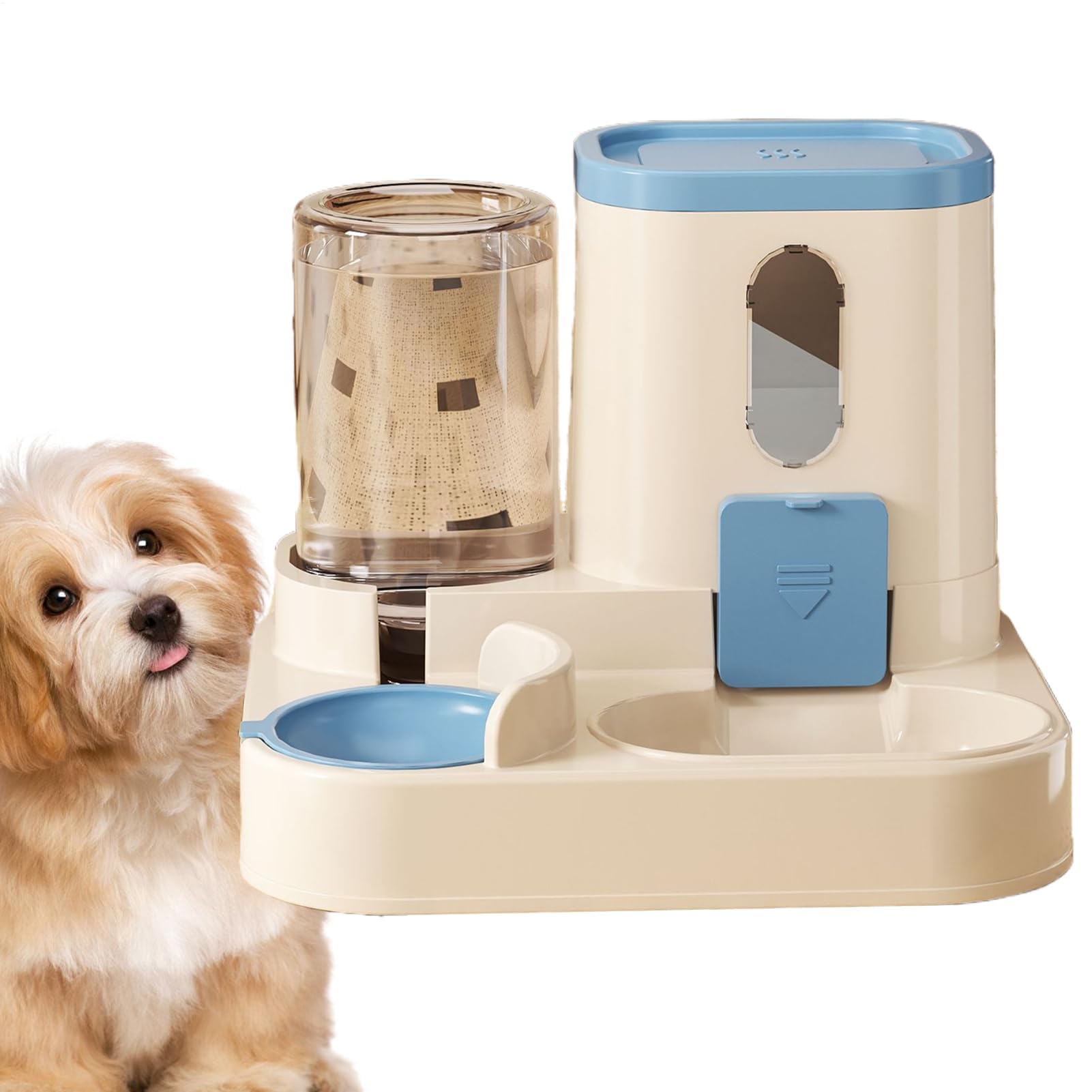 Mangiatoia automatica for gatti(Blue)