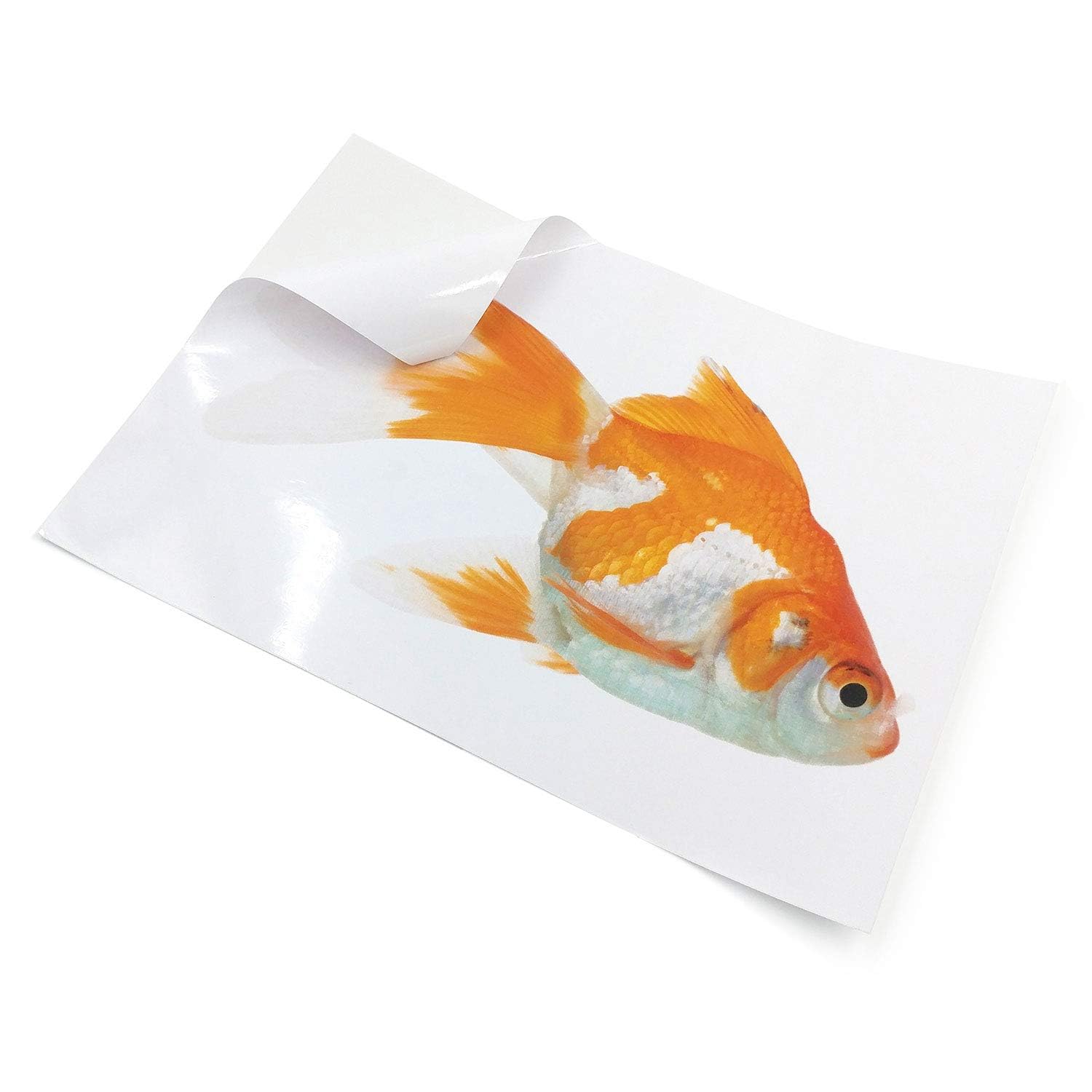 Evergreen Goods Ltd 20 feuilles A4 blanc brillant imperméable (PVC) papier autocollant vinyle, compatible avec les imprimantes laser, papier d'impression autocollant haute definition
