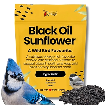 白油葵花籽鸟类野生鸟食