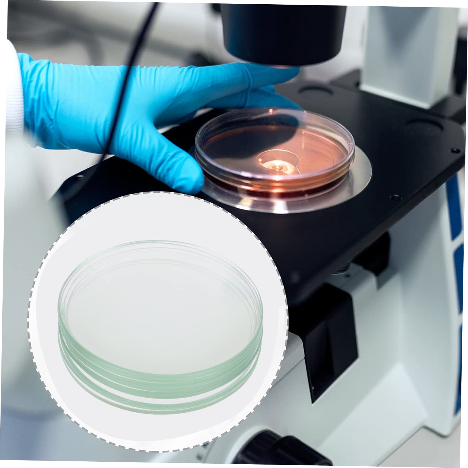 SOLUSTRE 10 Pezzi Piatti di Vetro Resistente al Calore per Esperimenti Scientifici, Vetrini Rotondi Piani per Laboratorio, Durevoli e Non Facili da Deformare, per Scuola e Ricerca