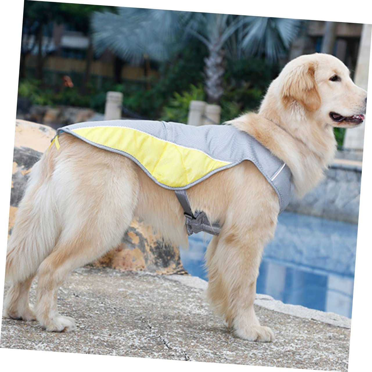 Copertura Cuscino Cane Rialzato Abaodam XL - Fodera Lavabile Traspirante 109x75cm