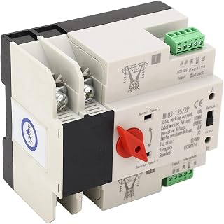 AC110V NLQ3-125 100A Dual Power Automatic Transfer Switch 35mm Rail Mounting 2P ATS Generator Changeover