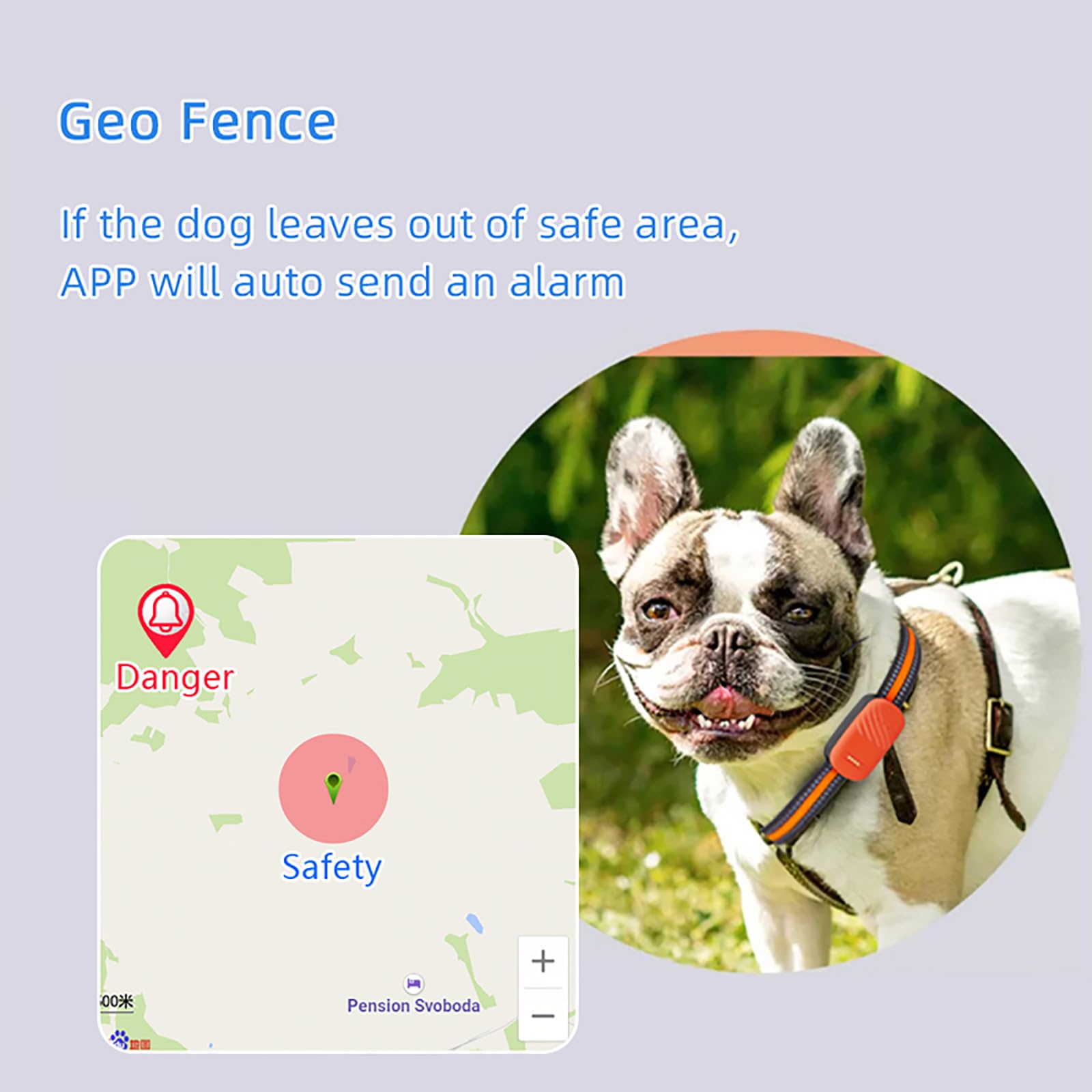 Localizzatore GPS per animali domestici, dispositivo anti-smarrimento con posizionamento multiplo e riproduzione storica dei brani per cani e gatti