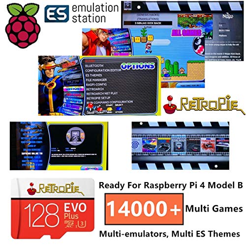 TAPDRA RetroPie Arcade Video Game Station with 10000+ Games, 128G Raspberry Pi 4B (2G Ram), Plug and Play, HDMI USB Port (2 Gamepad Included)