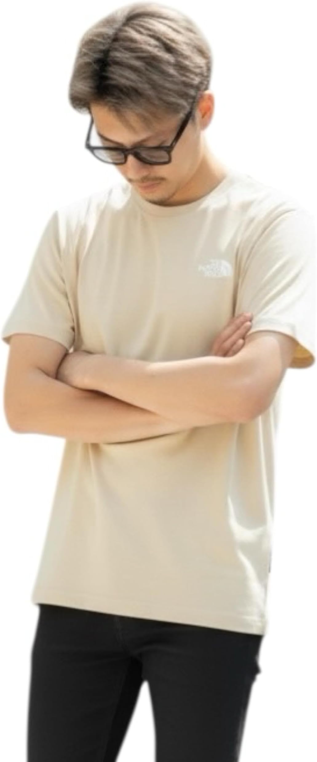 [ザノースフェイス] Tシャツ メンズ 半袖 ワンポイント 刺繍 ロゴ シンプル Evolution Simple Dome Tee [並行輸入品]