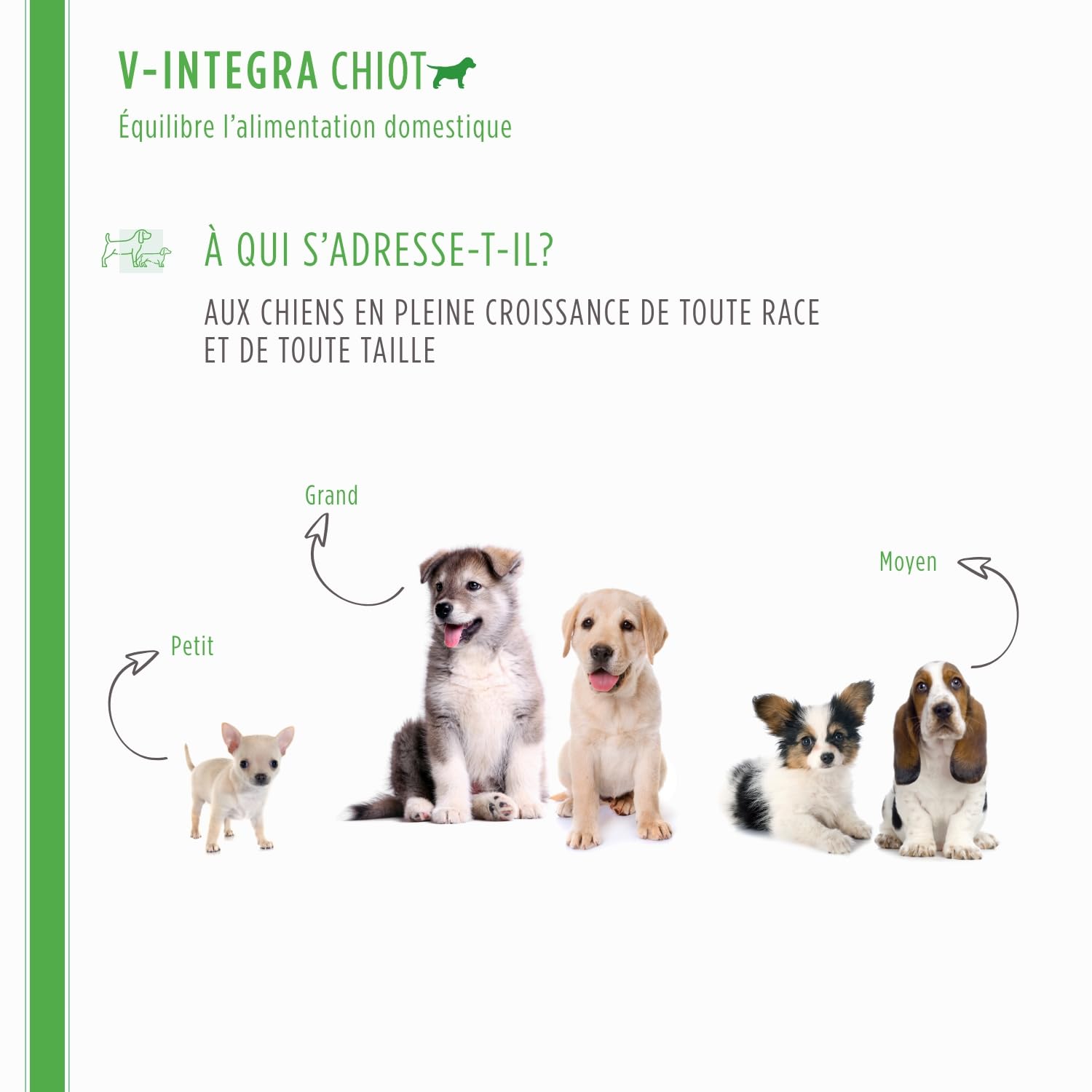 V-INTEGRA Chiot - Supplément Complet Riche en vitamines et minéraux pour la Ration ménagère et Barf des Chiots - 500 g - Produit en Italie