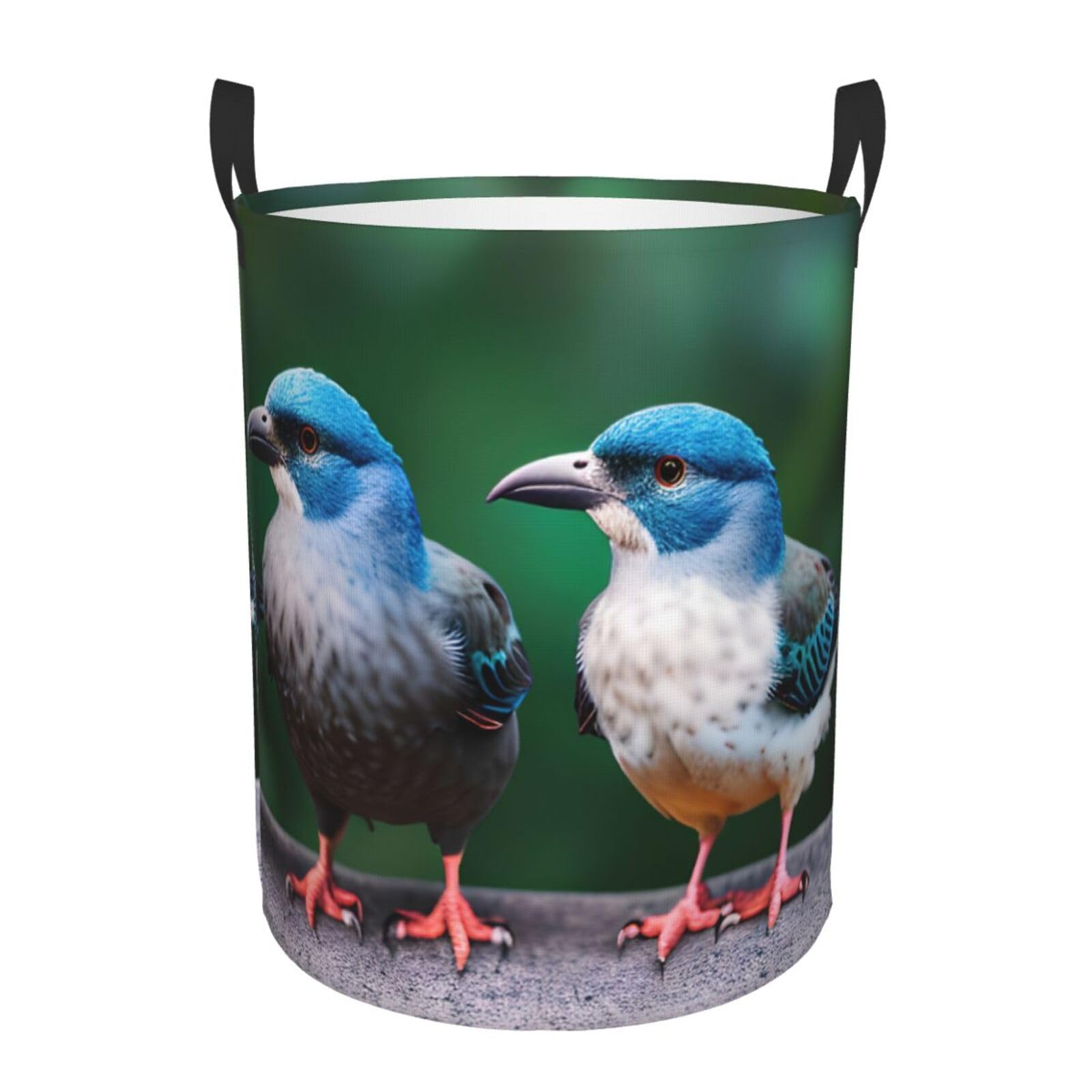 S Collapsible Laundry Hamper Round Two Birds Print Storage