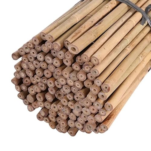 TradeXone bamboo canes 2Ft,3Ft,4Ft,5Ft,6Ft,7Ft,8FT,10Ft all length in stock and Range of pack sizes from 10 to 250 heavy duty easy to install sturdy garden canes (4ft,20, 8-10mm)