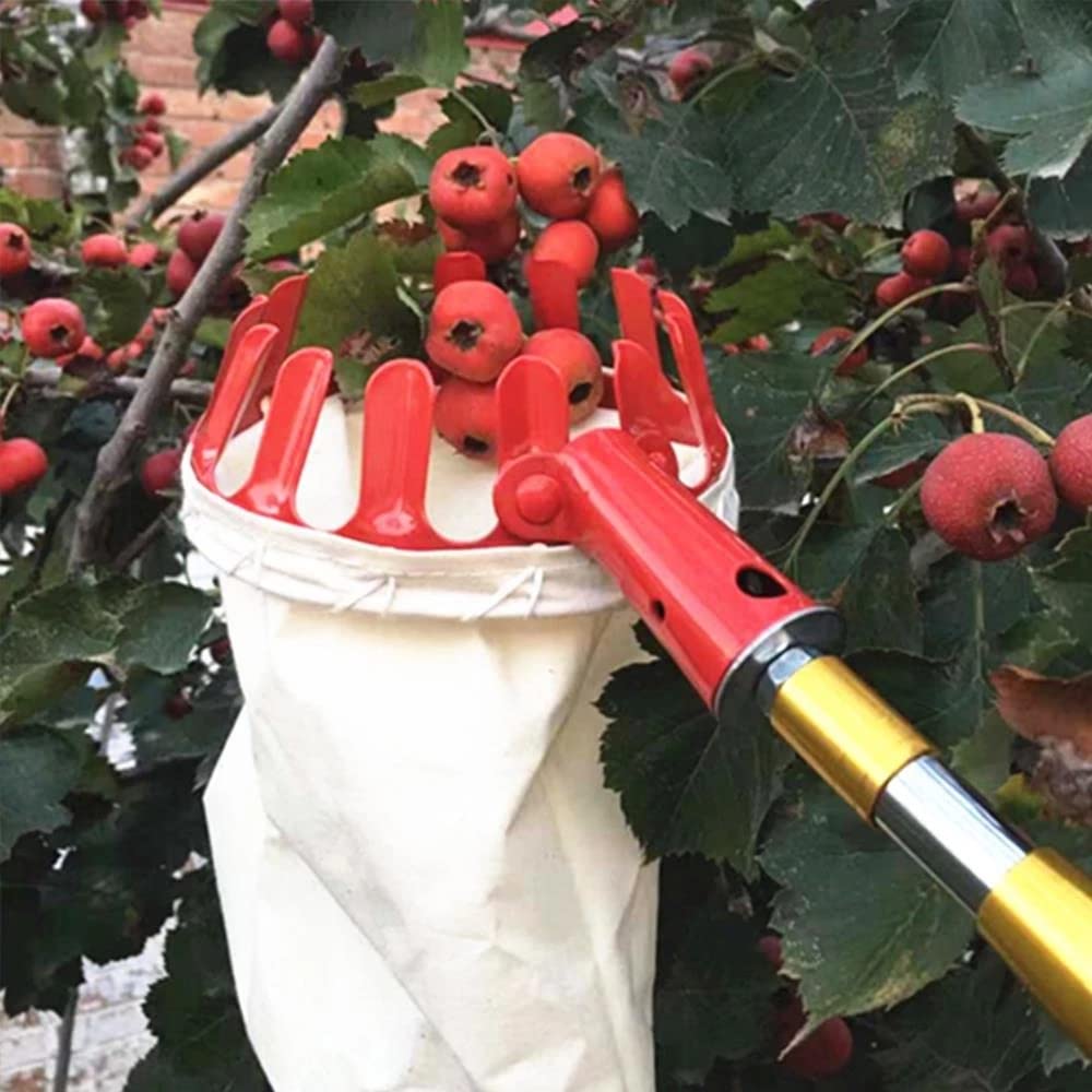 YXSH Raccoglitore di Frutta Rossa in Metallo Raccoglitore di Raccoglitore di Frutta Dispositivo Esterno Creativo Senza Palo Strumento Portatile per Giardinaggio da Cortile Agricolo