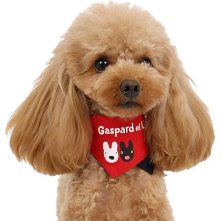 Amazon 犬 首輪 ペットパラダイス リサとガスパール ロゴ柄 バンダナ付き ss ペットパラダイス ベーシック首輪 通販 Amazon 犬 首輪 ペットパラダイス リサとガスパール ロゴ柄 バンダナ付き ss ペットパラダイス ベーシック首輪 通販