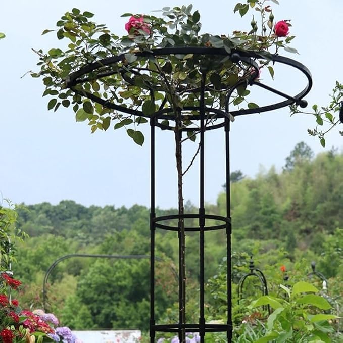 Marco floral vertical decorativo para terrazas y patios con enredaderas 7