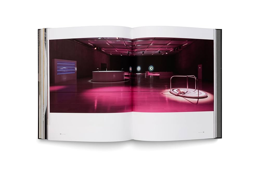 Elmgreen & Dragset: Spaces: Sohn, Yookyung, Yoon, Sarah