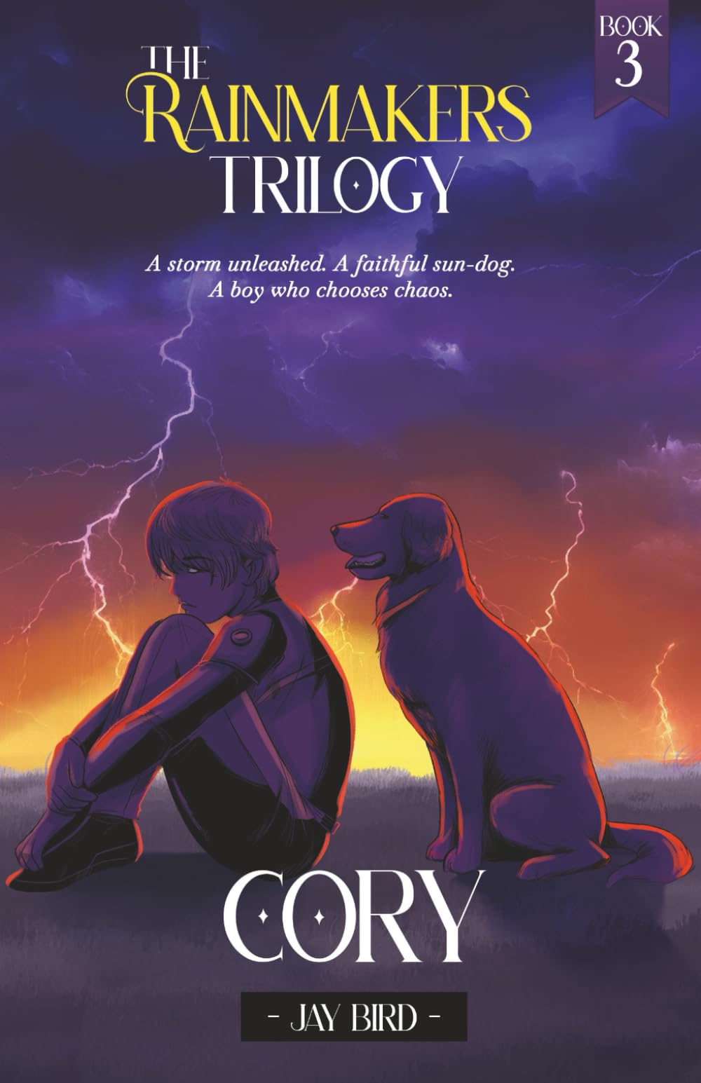 Cory: A boy who chooses chaos: 3 (The Rainmakers Trilogy)