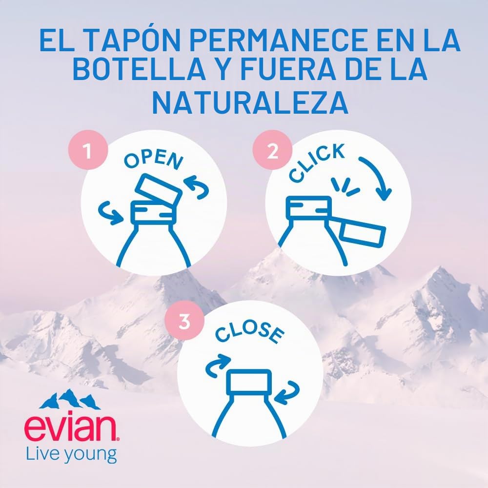 Agua mineral Evian 12 x 750 ml