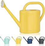 2 Canette d'arrosage Gallon pour les plantes intérieures, Canettes d'abreuvement de jardin pour les fleurs de la maison des plantes extérieures, Aquarisation végétale moderne peut grande écoulement long avec tête d'aspersion