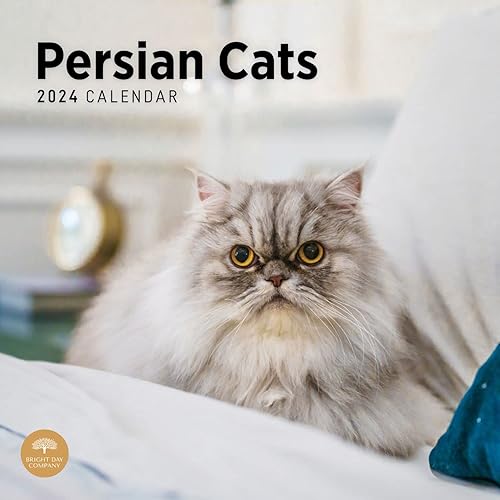 Miniatura 1 de Bright Day - Calendario mensual de pared de gatos persas 2024, 12 x 12 pulgadas