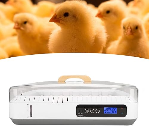 Miniatura 3 de VINGVO Incubadora de huevos de temperatura constante máquina multifuncional para incubar huevos de codorniz inteligente de gran espacio huevo de