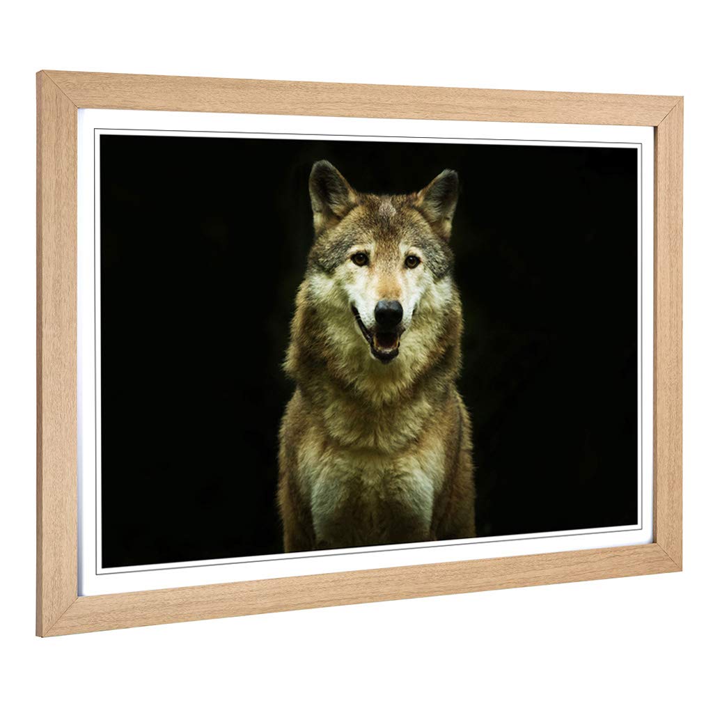 Big Box Art Framed Print of Wolf (3) Design | Wall Art Picture | Home Decor for Kitchen, Living, Dining Room, Lounge, Bedroom, Hallway, Office, Oak, A2 / 24.5x18 Inch / 62x45cm