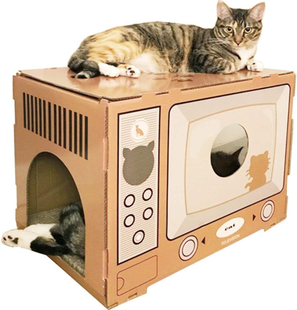 cat box house