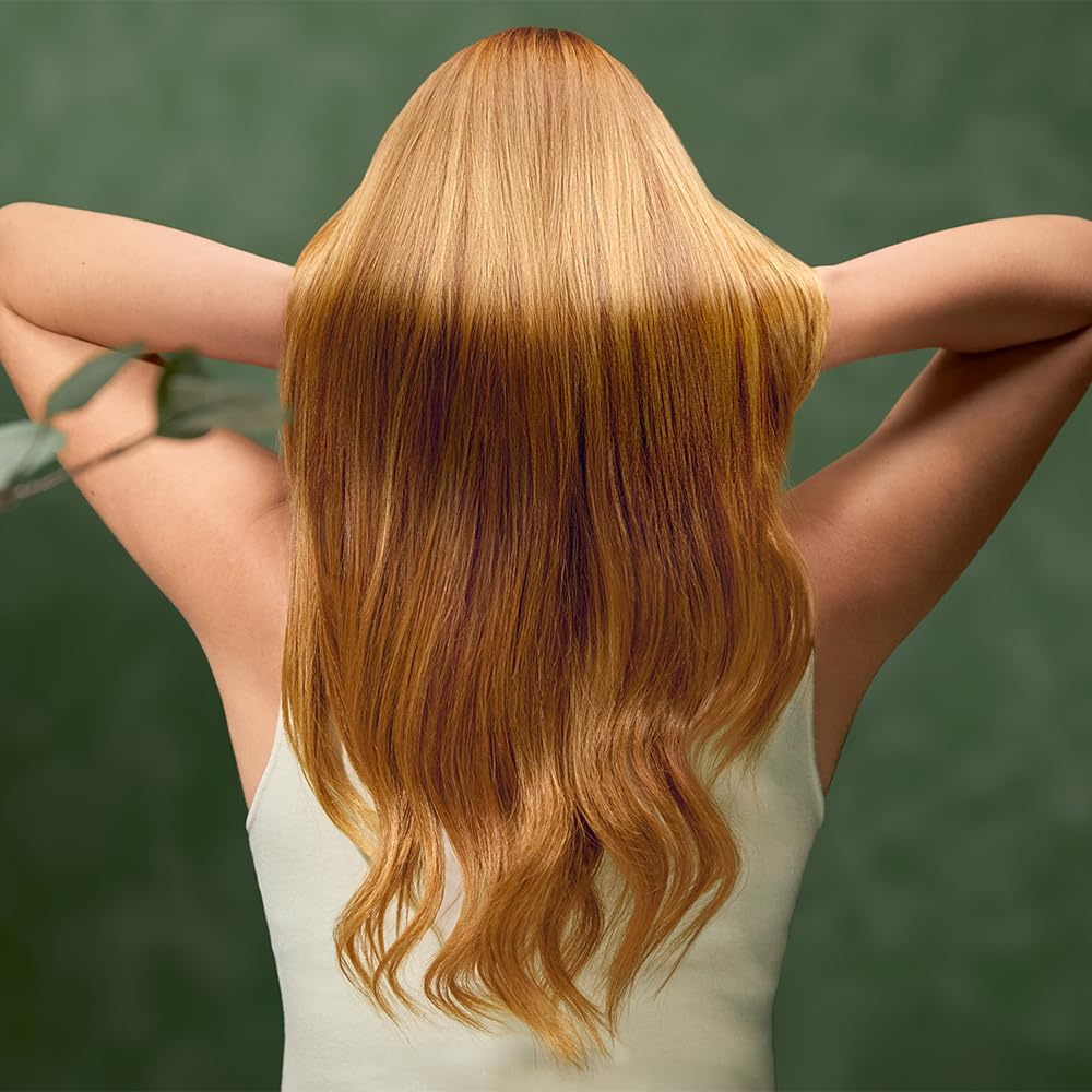 Cecotec Sèche-cheveux Compact IoniCare Dry&Keratin Cotton Candy. 1200W, 107000RPM, Moteur Brushless, Fonction Ionique, Tête avec Technologie NutriSerum et Dents Dures, Tête Concentratrice, Rose
