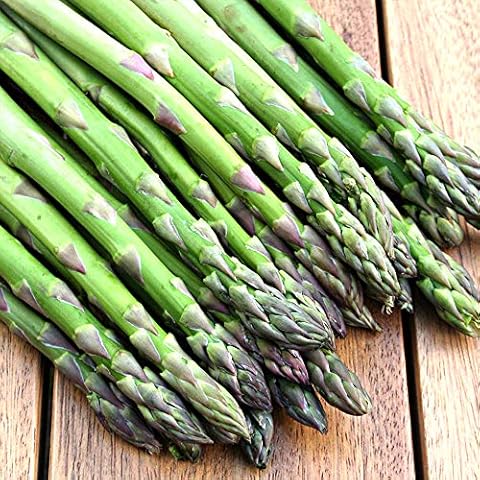 Schone Asparagus Gijnlim Roots for Planting Cover