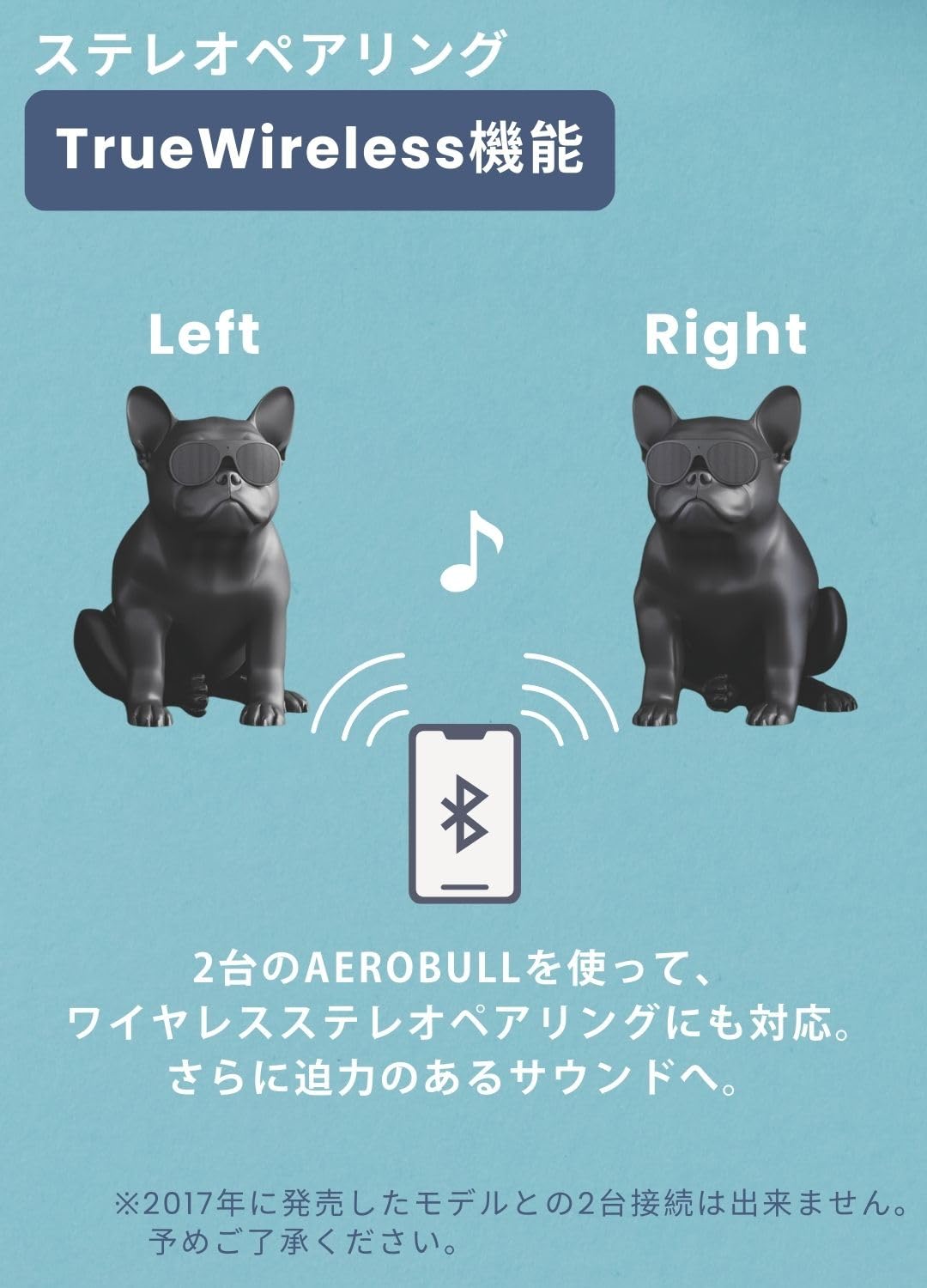Aerobull HD1 エアロブル クロームブラック Amazon.co.jp: AeroBull（エアロブル） HD1 クロームブラック Chrome