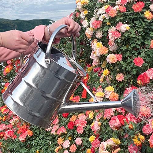 Arrosoir en acier inoxydable 8 L/12 L en acier galvanisé avec revêtement antirouille pour jardin et plantes vertes