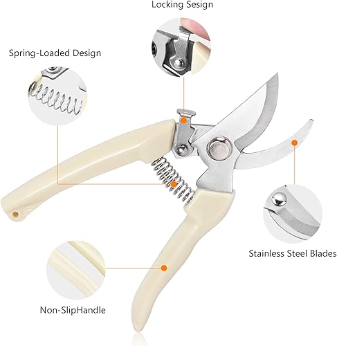 Miniatura 3 de Tijeras de jardín para plantas, tijeras de podar de punta para cortar flores, recortar plantas, cosechar bonsái y frutas (podadora de hoja de