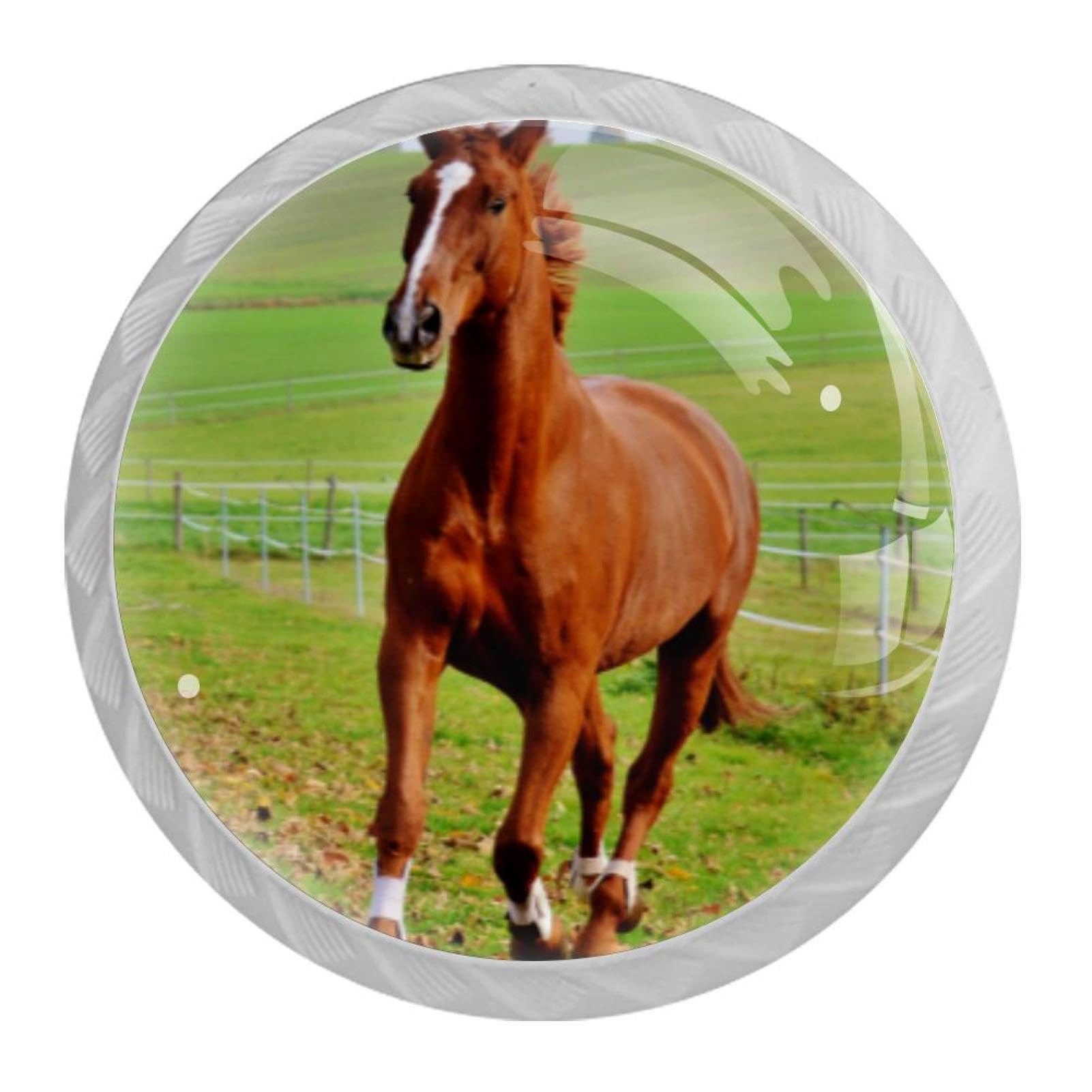 Tqmspg Multi Brown Horse Meadow