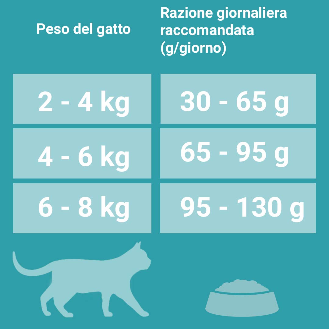 Purina One Bifensis Crocchette Gatto Speciale Pelle e Pelo Ricco in Pollo e Cereali integrali - 8 Sacchi da 800 g Ciascuno