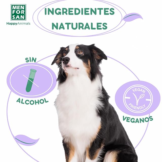 Foto 4 de 5 de MENFORSAN Pack de 3 Agua de Colonia para perros, Aroma fresco y duradero, Mora, 125ml