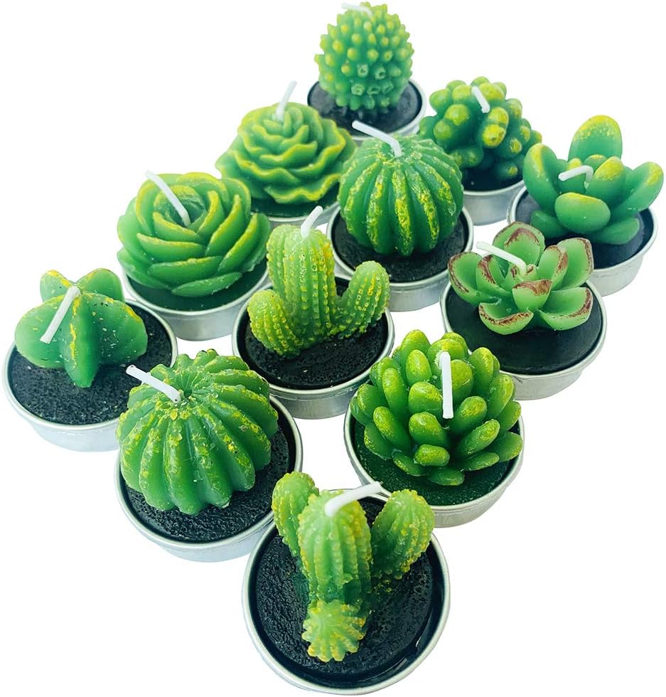 PIVBY Cactus Tealight Candles,Handmade Delicate Succulent Tea Light Candle Holder for Valentine's Day Birthday Party Wedding Spa Home Decoration,12 Pcs in Pack.