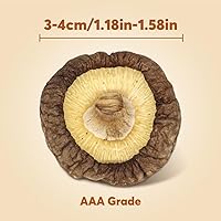 Vista 2 de ONETANG Setas Shiitake secas naturales – Sabores premium Setas extra secas de grado AAA para sopas, salsas, pasta y risotto se rehidratan