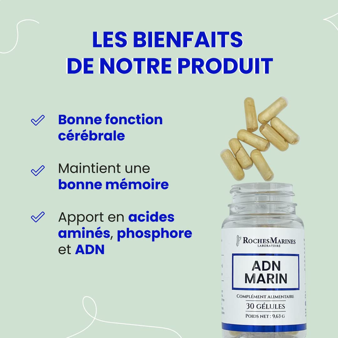 Roches Marines - Complément alimentaire ADN marin - Maintient la mémoire et la concentration - Soutien cérébral - Apport en acides aminés, phosphore, ADN marin - 30 gélules - Développé en France