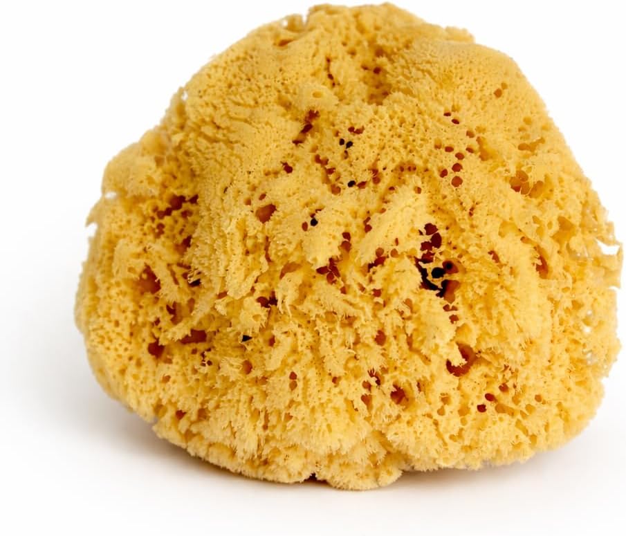 Real Sea Sponge for Men - Extra Large 6"-7", Totally Natural, Kind on Skin for an Invigorating Shower, Supplied in Breathable Mesh Bag. Great for The Gym, Grooming, Bath & Body Gift by Constantia Man