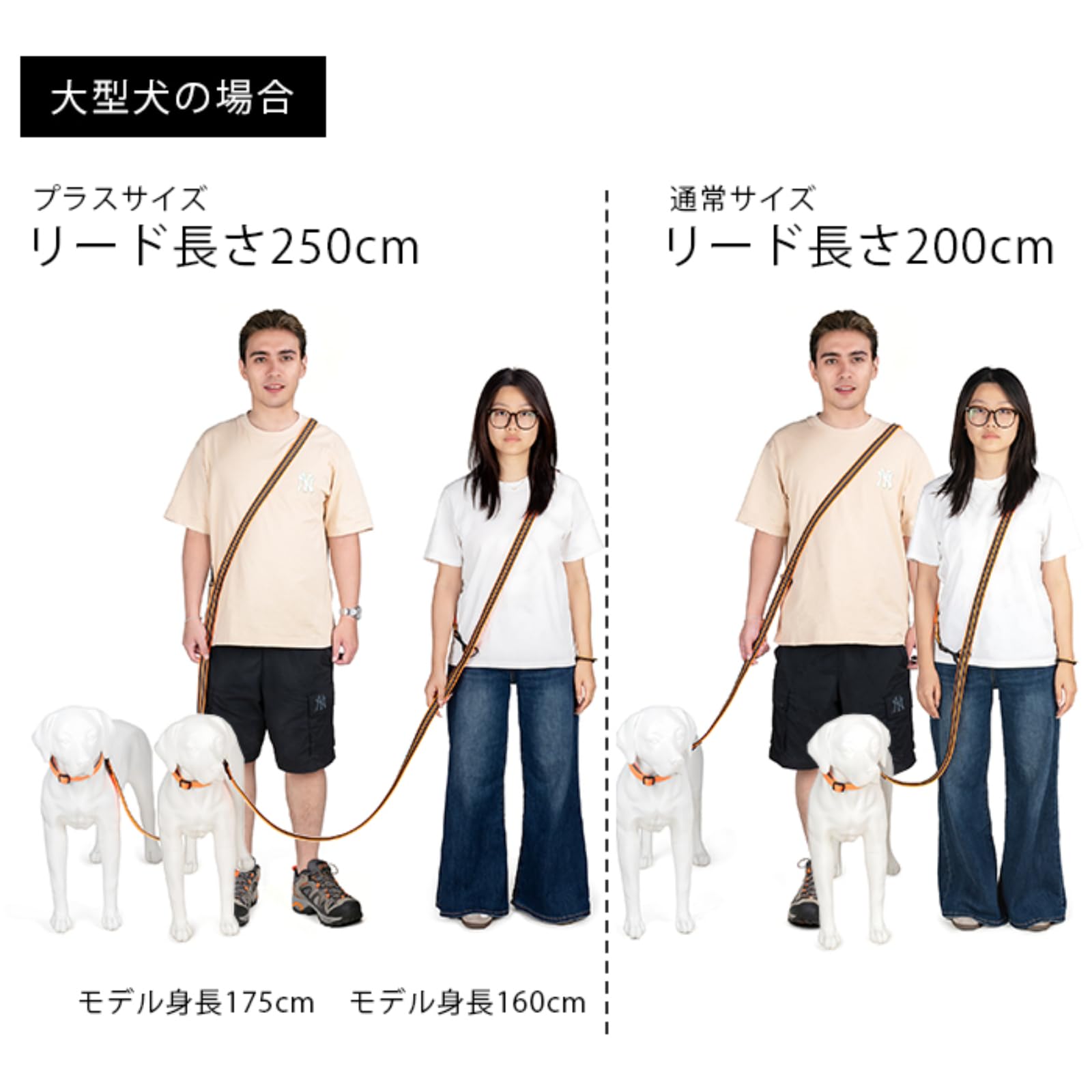 Amazon | ショルダーリード 手持ち 2頭引き ダブルリード 3WAY 犬 小型