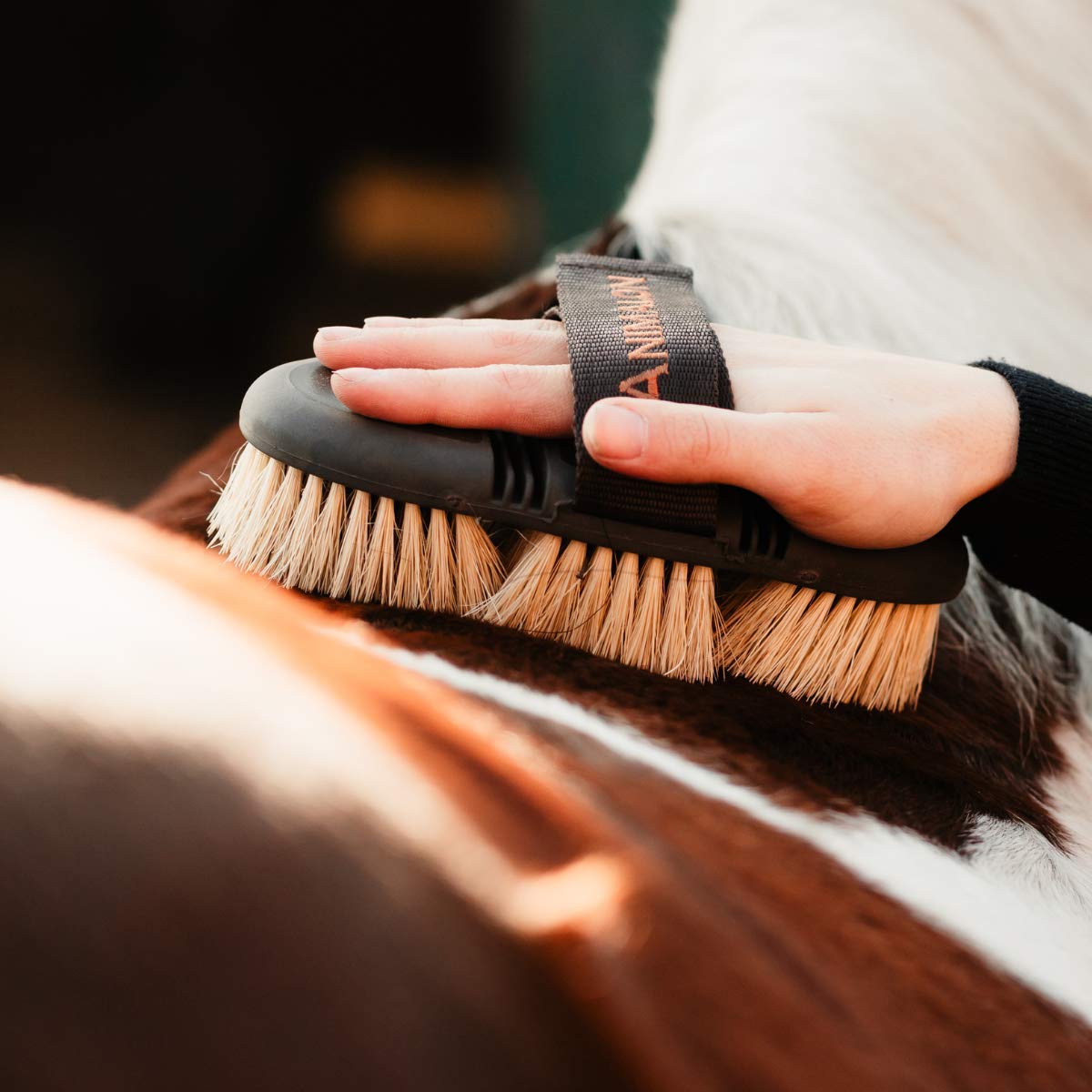 Animalon CareFlex Wurzelbürste – Naturhaar-Pferde-Bürste – Wurzelkardätsche mit harten Naturborsten – flexibel, ergonomisch & hochwertig – Kardätsche mit Klettverschluss