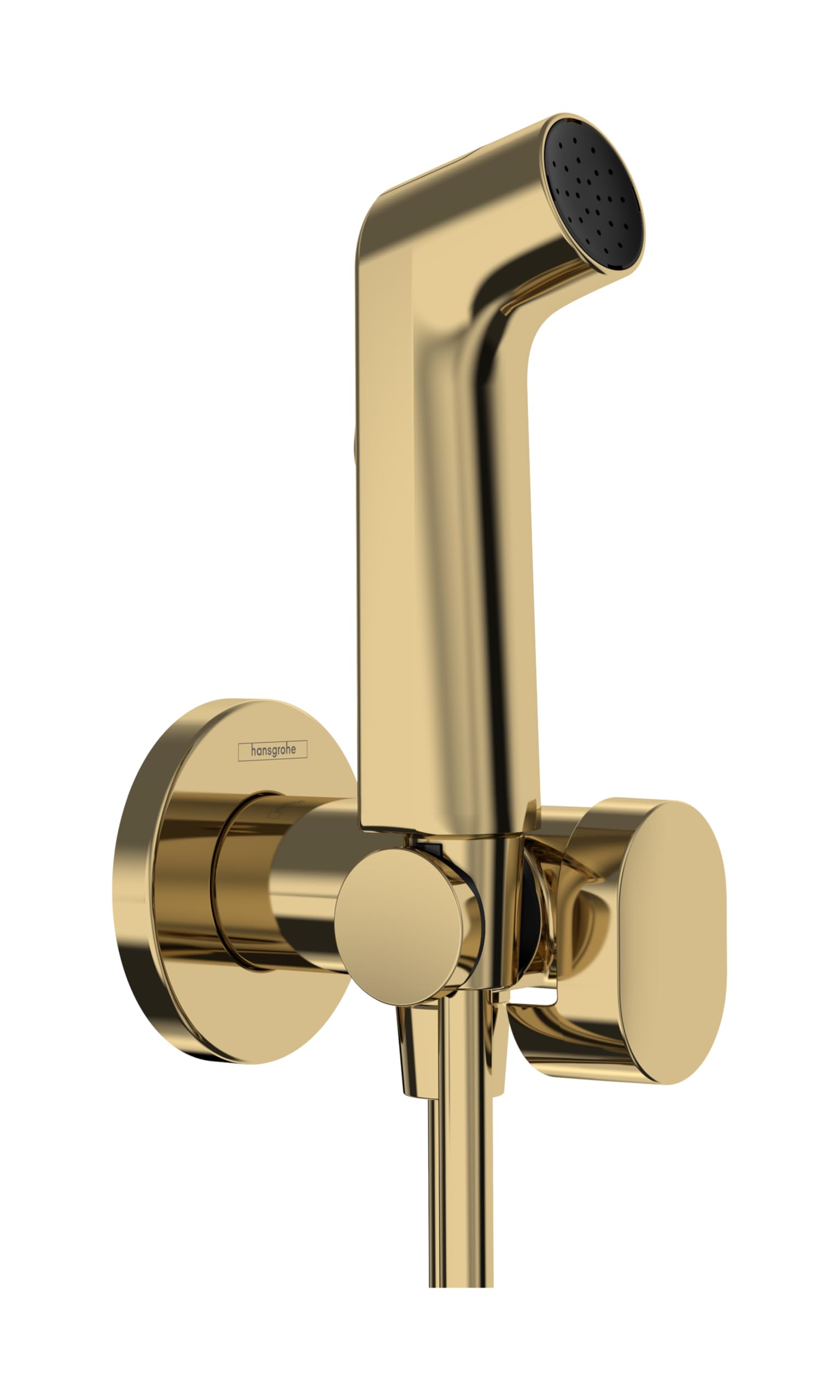 hansgrohe Bidette Shower Head S with 1 Water Saving Stream (EcoSmart), Including Shut-Off Valve, Shower Holder and Shower Hose 1.25 m, for Cold Water, Polished Gold Optic