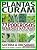 Capa de Guia Plantas em Casa Extra -  Plantas que Curam
