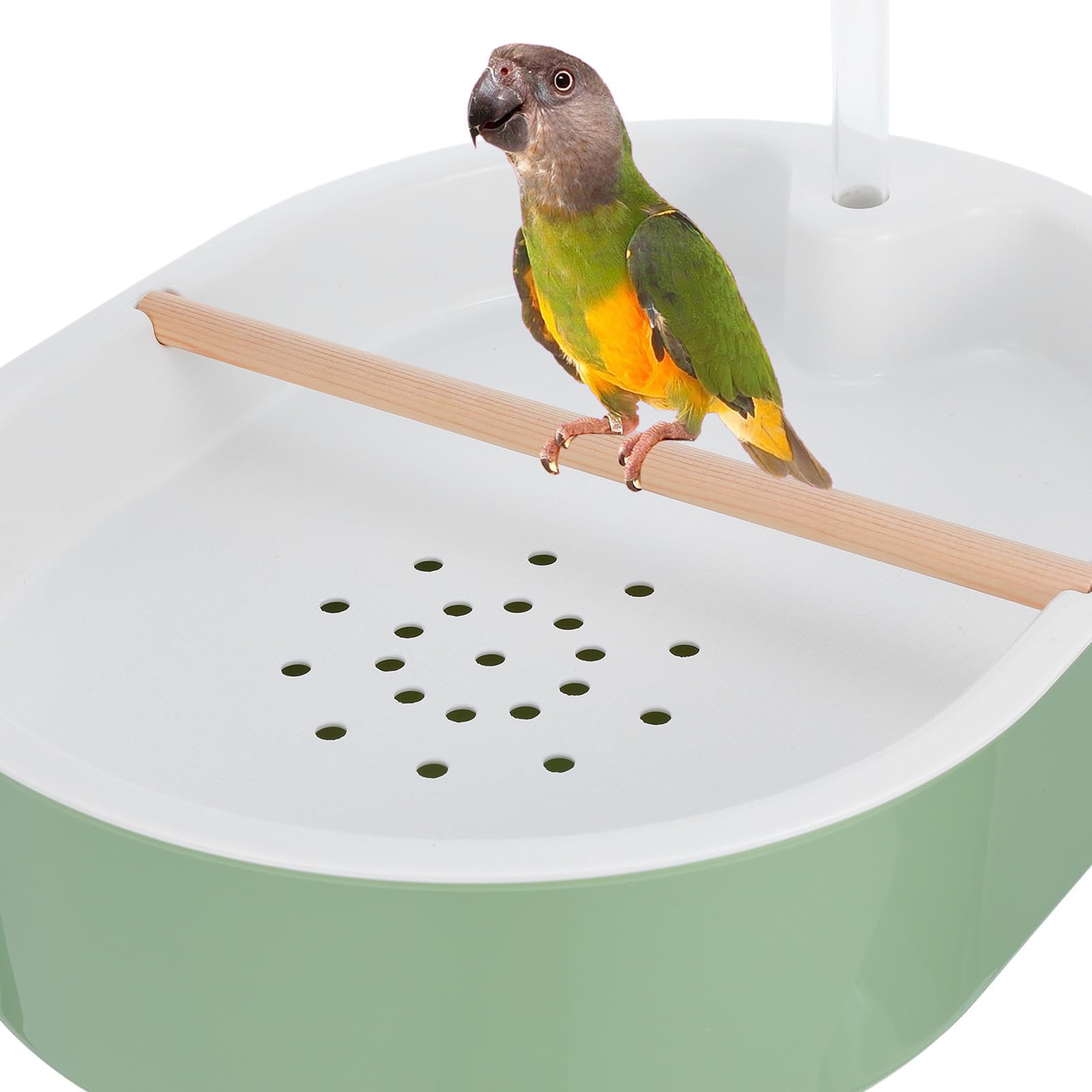 BESPORTBLE Ducha para Loros: Bañera automática para Aves con Bomba - Bañera USB para Aves, Juguete de baño con dispensador de Agua para Hurones y jilgueros.